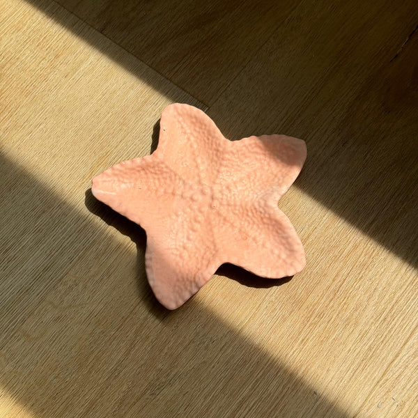 Vide poche étoile de mer