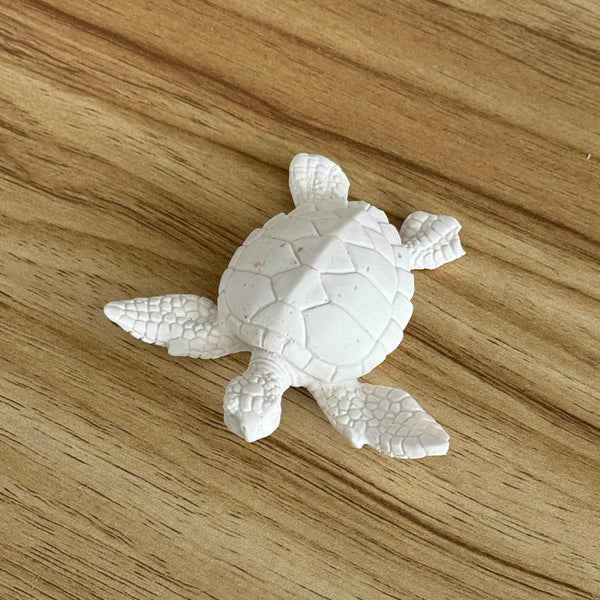 Petite tortue