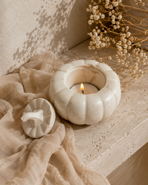 Photophore Zucca