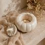 Photophore Zucca
