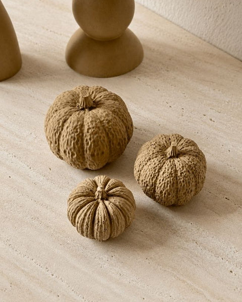 Trio de Courges