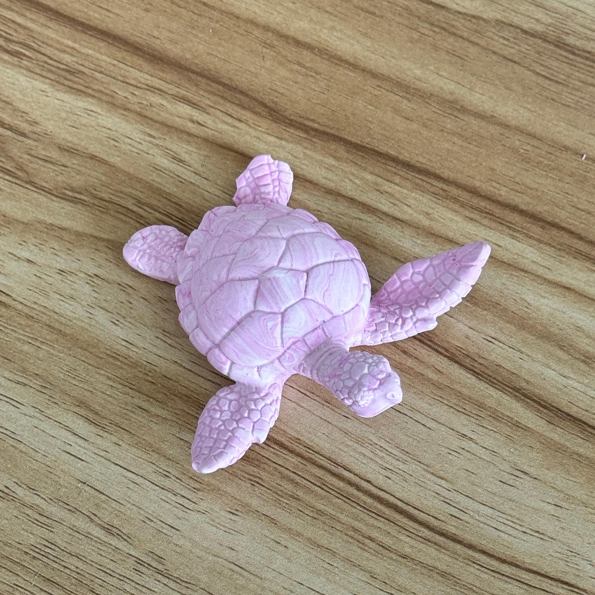Petite tortue