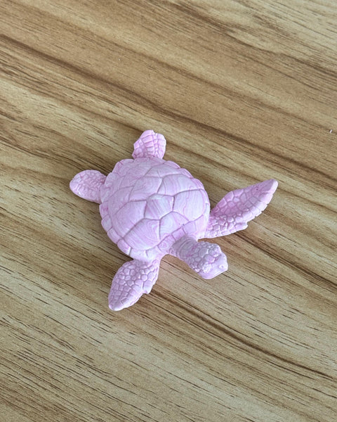 Petite tortue