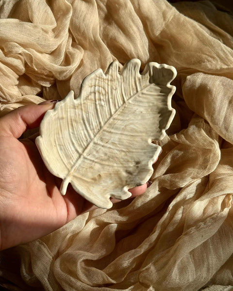 Vide-poche Souffle d’automne