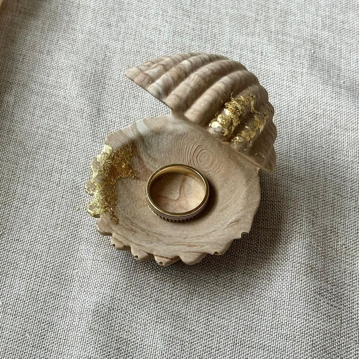 Ecrin Coquillage
