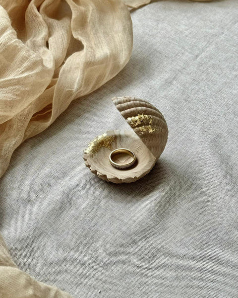 Ecrin Coquillage