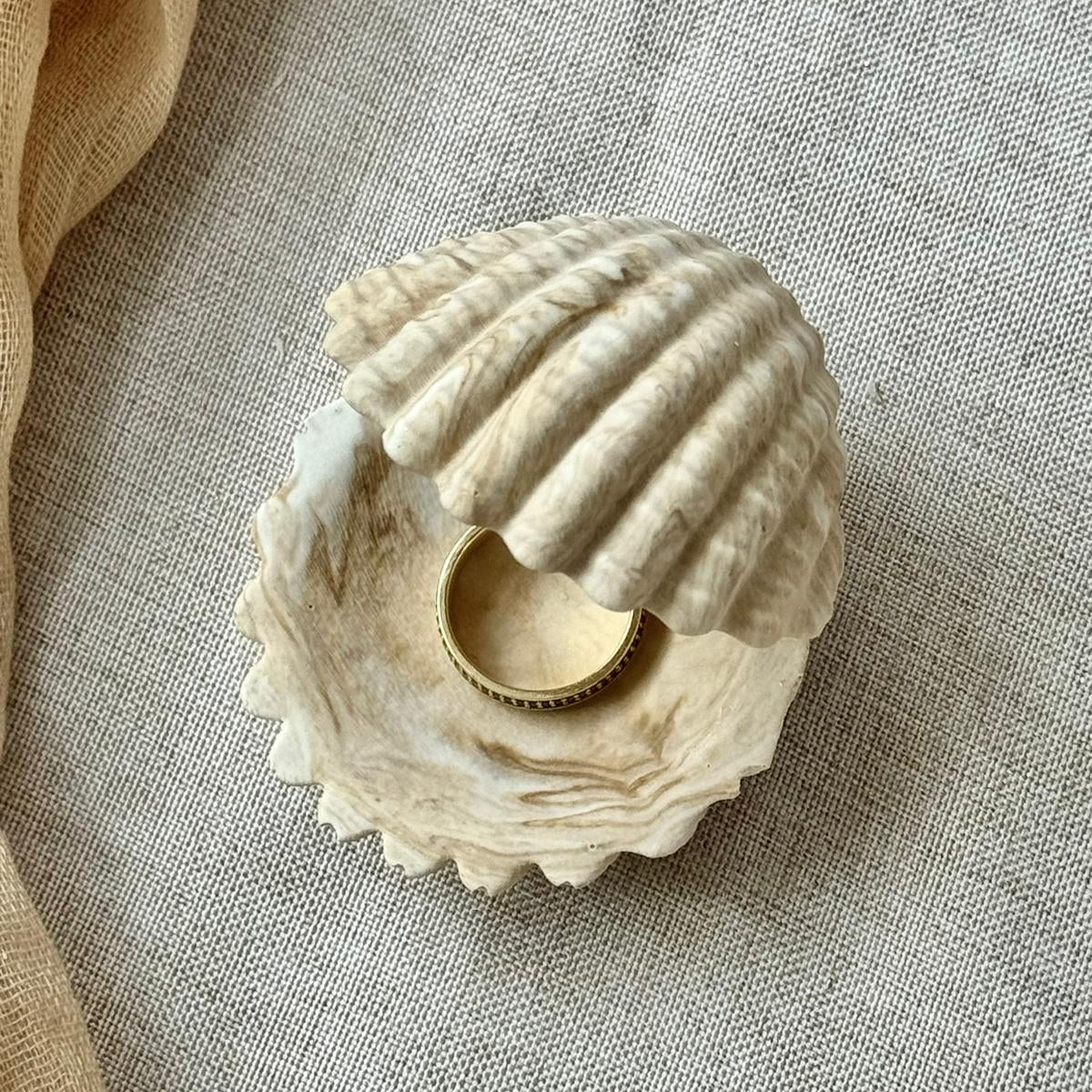 Ecrin Coquillage