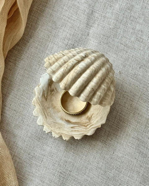 Ecrin Coquillage