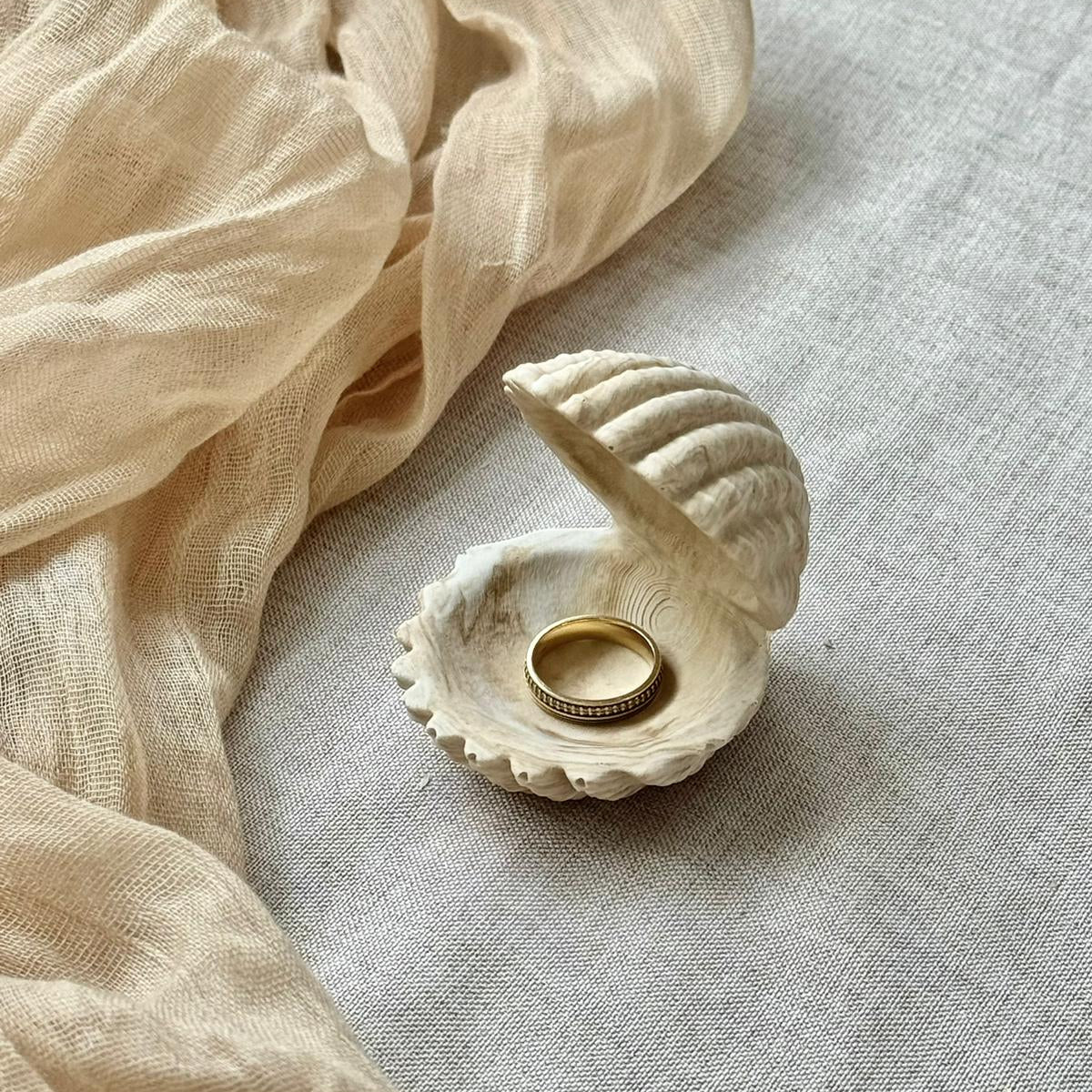 Ecrin Coquillage