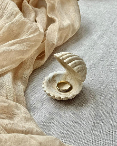 Ecrin Coquillage
