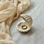 Ecrin Coquillage