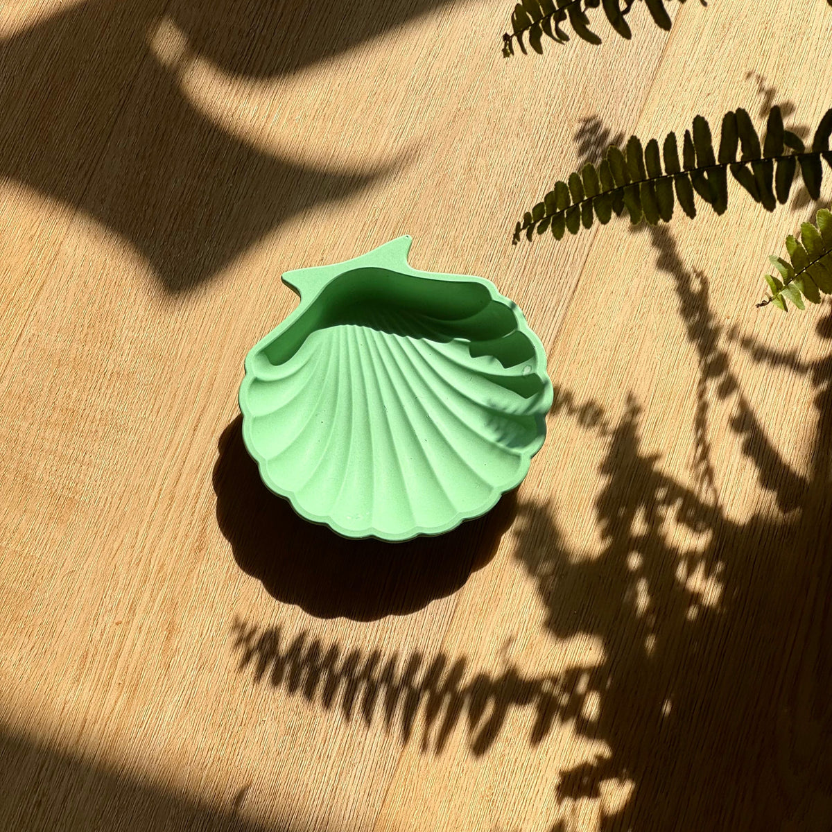 Coupelle coquillage