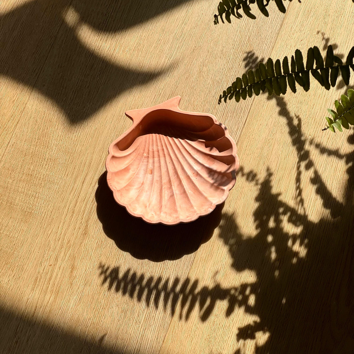 Coupelle coquillage