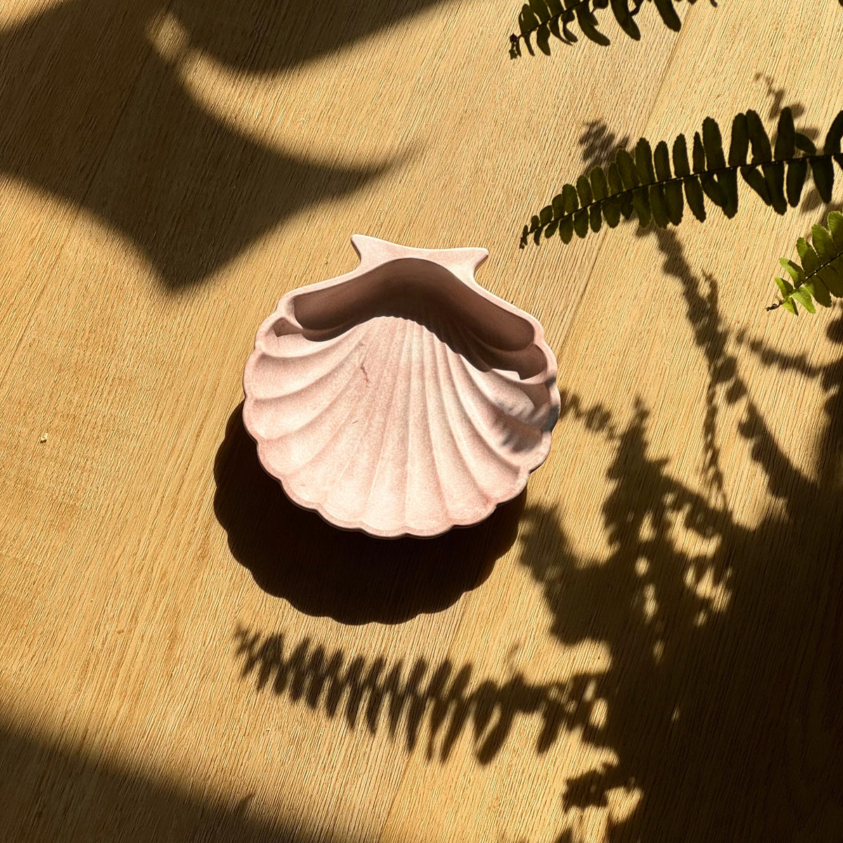 Coupelle coquillage