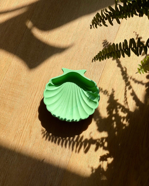 Coupelle coquillage