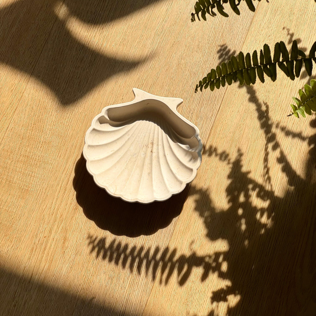 Coupelle coquillage