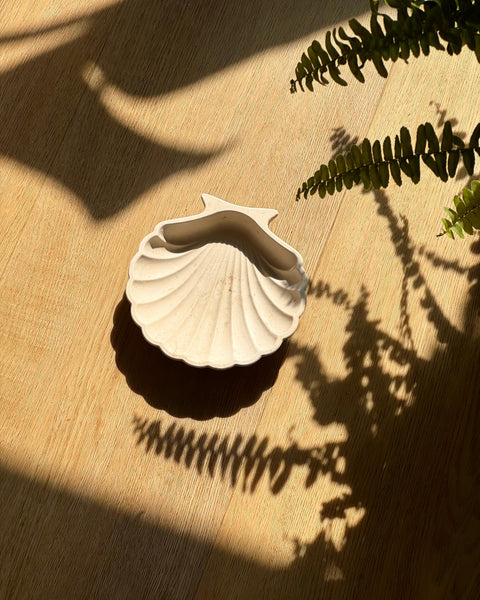 Coupelle coquillage