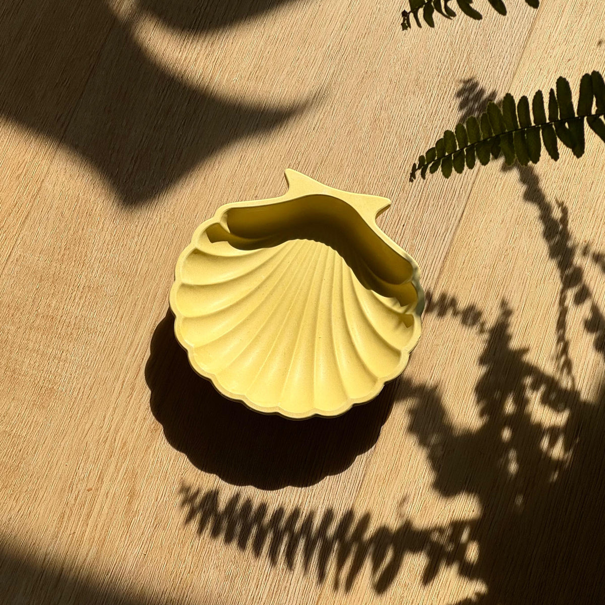 Coupelle coquillage