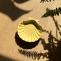 Coupelle coquillage
