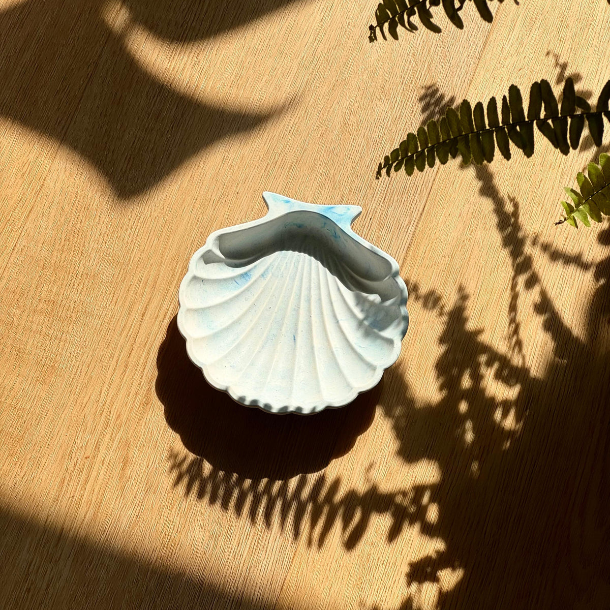 Coupelle coquillage