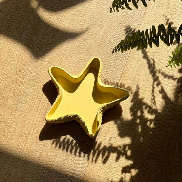 Vide Poche étoile de mer