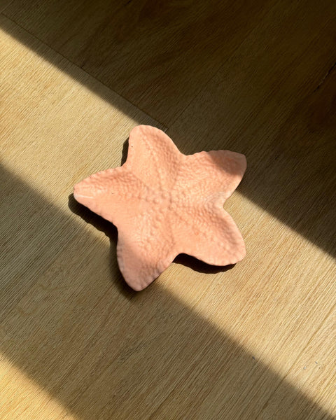 Vide poche étoile de mer