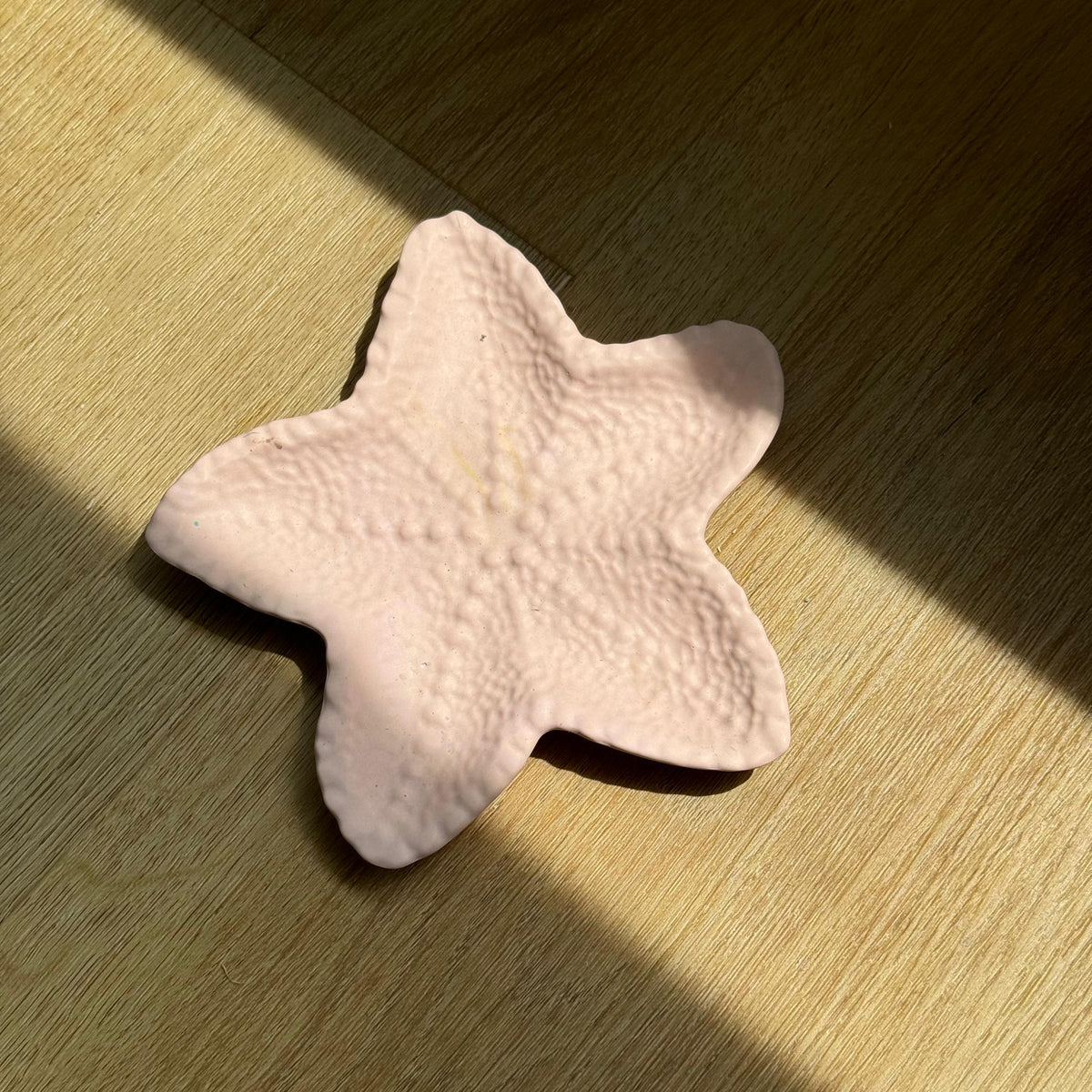 Vide poche étoile de mer