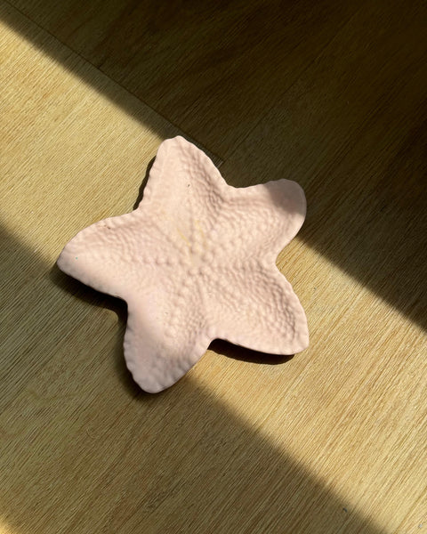 Vide poche étoile de mer