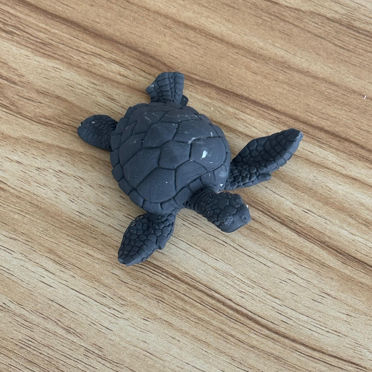 Petite tortue
