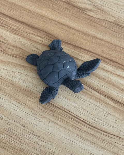 Petite tortue