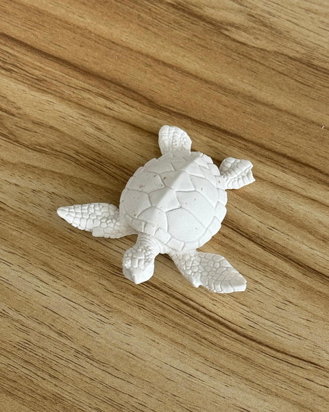 Petite tortue