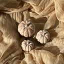  Terracotta marbré