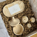 Coffret 6